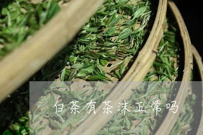 白茶有茶沫正常吗/2023080260717