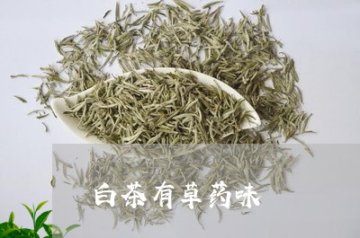 白茶有草药味/2023052049705