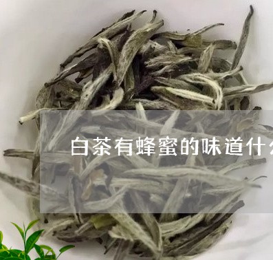 白茶有蜂蜜的味道什么原因/2023110694047