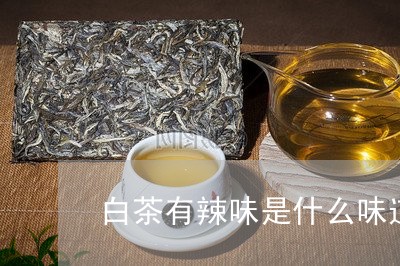 白茶有辣味是什么味道/2023100603837