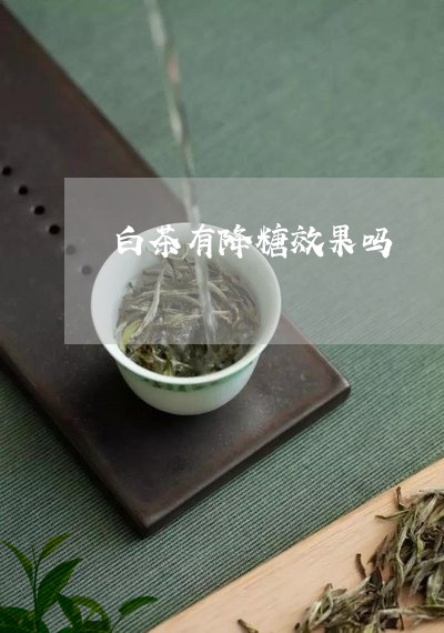 白茶有降糖效果吗/2023080227394