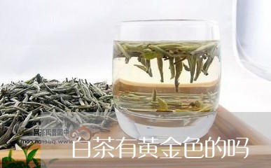 白茶有黄金色的吗/2023080203925