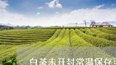 白茶未开封常温保存可以吗/2023110725178