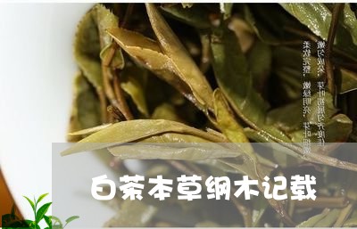 白茶本草纲木记载/2023080206481