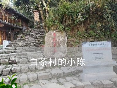 白茶村的小陈/2023052074048