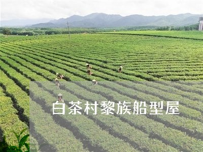 白茶村黎族船型屋/2023080297481