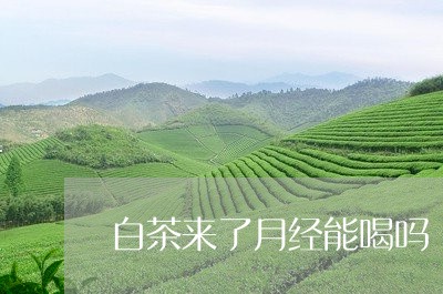 白茶来了月经能喝吗/2023072345369