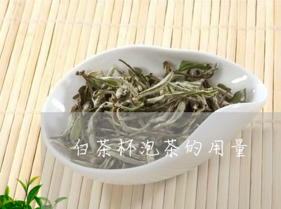 白茶杯泡茶的用量/2023080338281