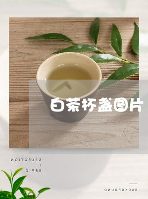 白茶杯盏图片/2023052037360