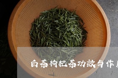 白茶枸杞茶功效与作用/2023100694826