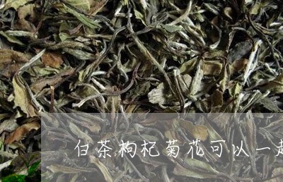 白茶枸杞菊花可以一起泡吗/2023110748381