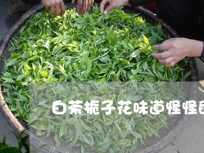 白茶栀子花味道怪怪的/2023100631582