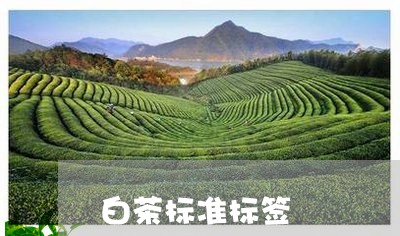 白茶标准标签/2023052004059