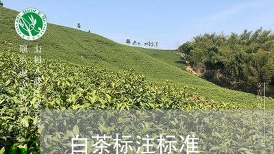 白茶标注标准/2023052002583