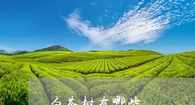 白茶树有哪些/2023052001731