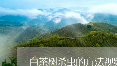 白茶树杀虫的方法视频/2023100610362