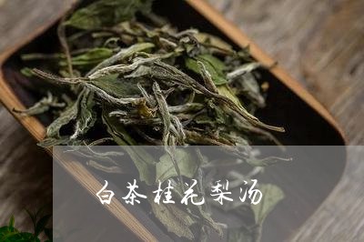 白茶桂花梨汤/2023052078613