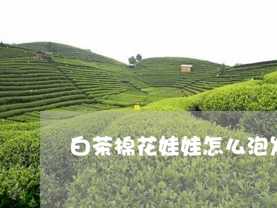 白茶棉花娃娃怎么泡发好/2023070133915