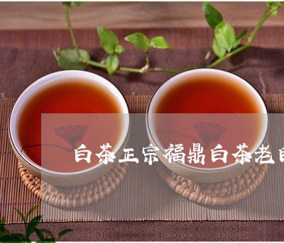 白茶正宗福鼎白茶老白茶小茶饼/2023111560626