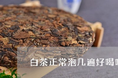 白茶正常泡几遍好喝吗/2023100600604