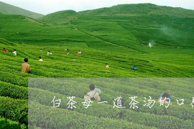 白茶每一道茶汤的口感不同/2023110643703