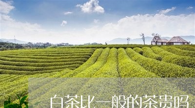 白茶比一般的茶贵吗/2023072365847