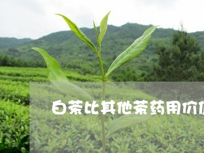 白茶比其他茶药用价值高吗/2023110644150