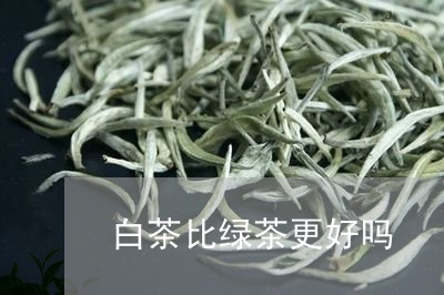 白茶比绿茶更好吗/2023100688491