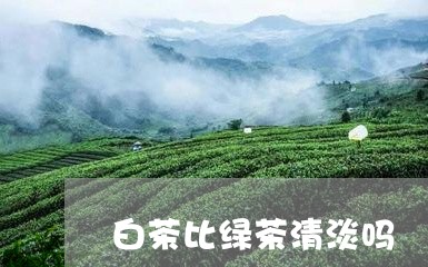 白茶比绿茶清淡吗/2023100665279