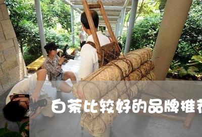 白茶比较好的品牌推荐/2023100614071