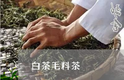 白茶毛料茶/2023051070604