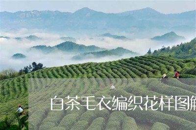 白茶毛衣编织花样图解视频/2023110614605