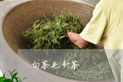 白茶毛针茶/2023051042027