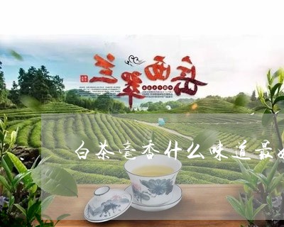 白茶毫香什么味道最好呢/2023111555259