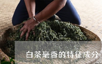 白茶毫香的特征成分/2023072461616