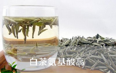 白茶氨基酸高/2023052009815