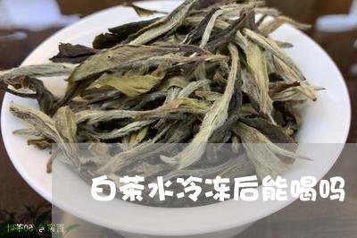 白茶水冷冻后能喝吗/2023072494935