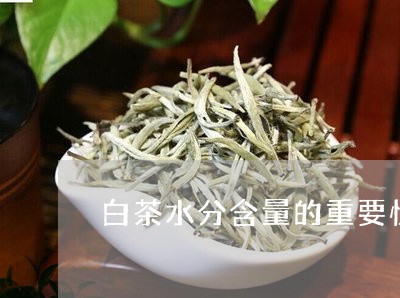 白茶水分含量的重要性/2023100676847