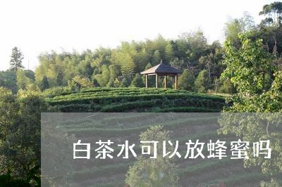 白茶水可以放蜂蜜吗/2023072466260