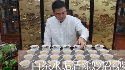 白茶水垢清除妙招视频大全/2023110625072