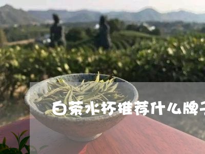 白茶水杯推荐什么牌子好/2023082678392