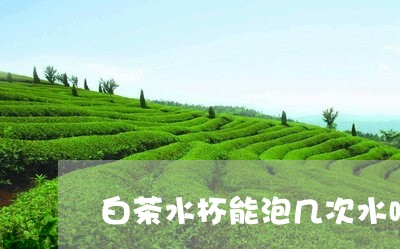 白茶水杯能泡几次水喝/2023073016170