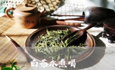 白茶水煮喝/2023051034049