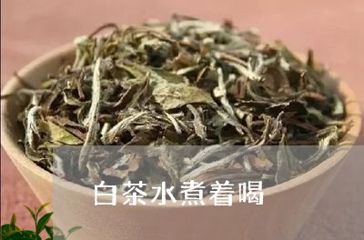 白茶水煮着喝/2023052075060