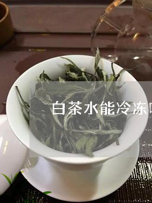 白茶水能冷冻吗多少度合适/2023110673148