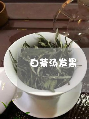 白茶汤发黑/2023051061592