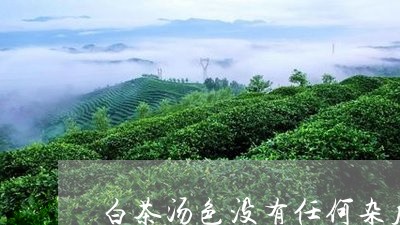 白茶汤色没有任何杂质好吗/2023110640404