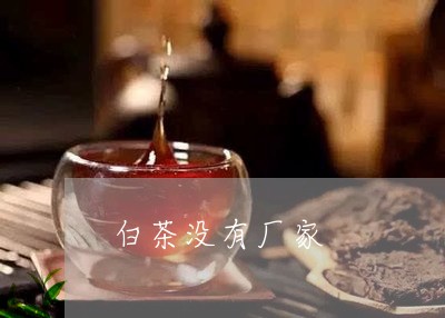 白茶没有厂家/2023052043620