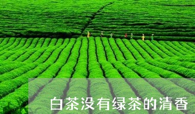 白茶没有绿茶的清香/2023072358361