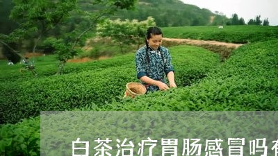 白茶治疗胃肠感冒吗有效吗/2023110616160